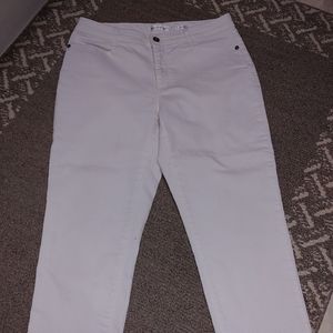 Buffalo Knee Length White Shorts